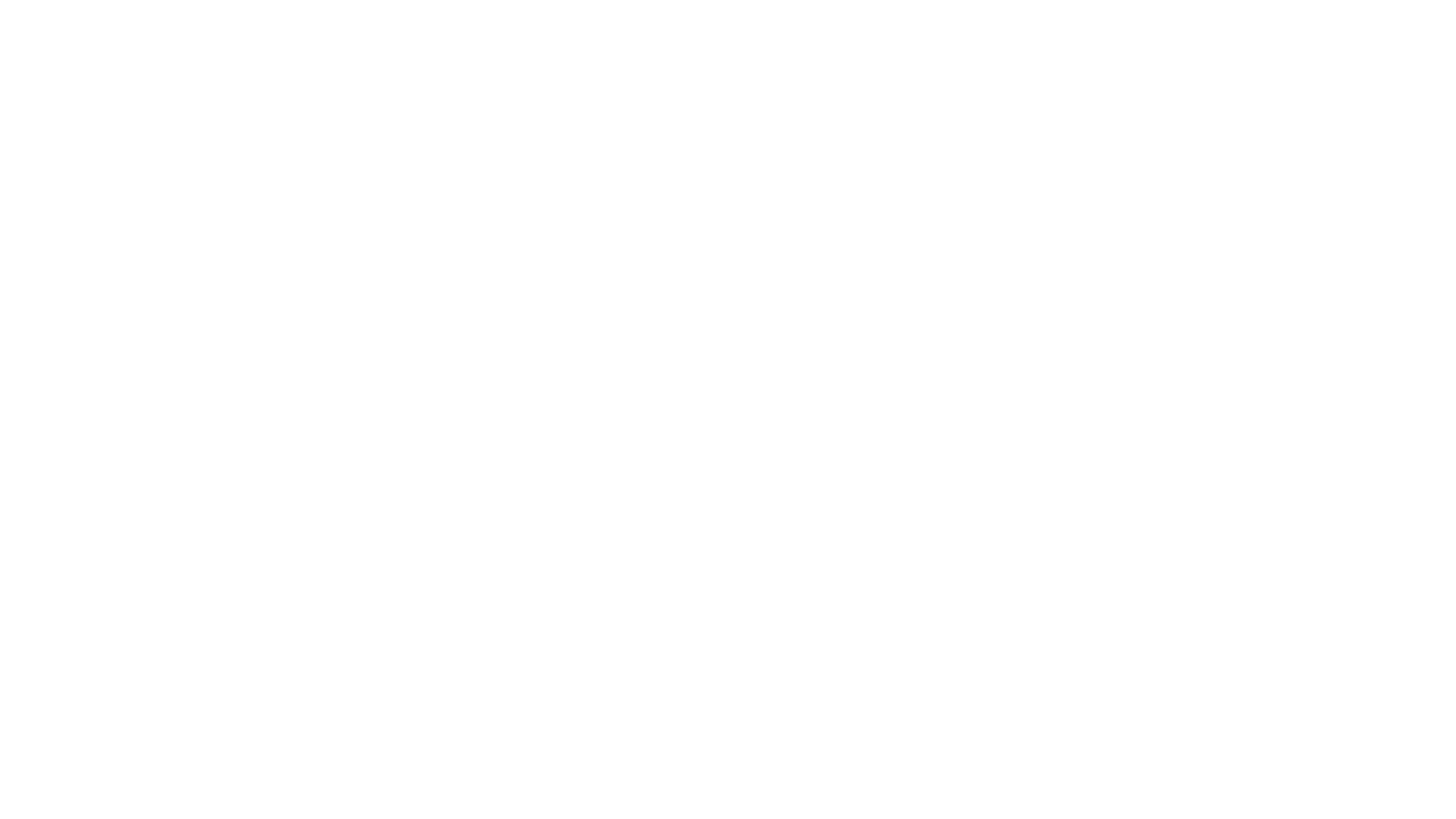 Netskrt